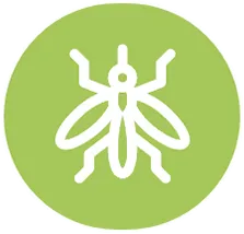 648cdc25bdcb444587fc9973_mosquito-icon