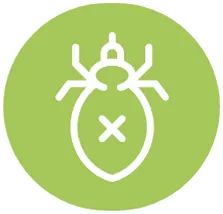 648cdc25f9151367247ace17_flea-icon