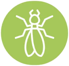 64a836e20200796d9befd385_termite-icon