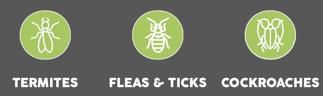 Screen Shot 2023-12-06 at 9.05.47 PM