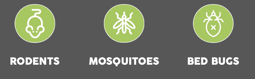 Screen Shot 2023-12-06 at 9.05.57 PM